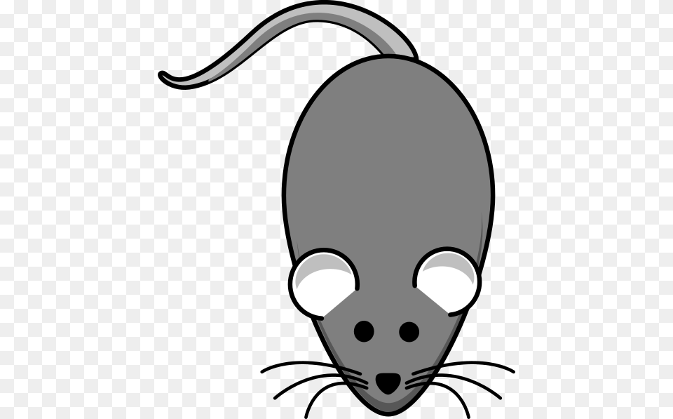 Rat Grey Darker Clip Art, Mouse, Computer Hardware, Electronics, Hardware Free Png