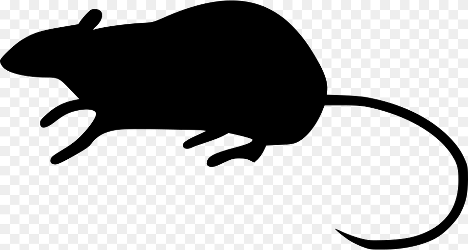 Rat Icon Animal, Mammal Free Png Download