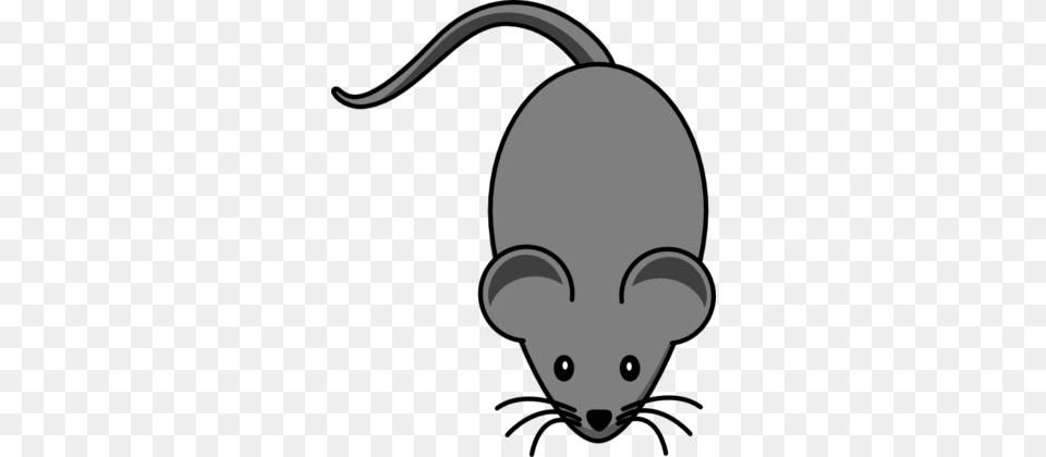 Rat Mouse Clipart Black, Animal, Mammal, Face, Head Png