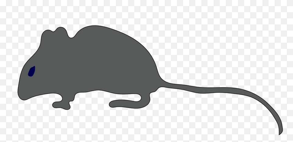 Rat Mouse Gerbil Rodent Cat, Computer Hardware, Electronics, Hardware, Animal Png Image