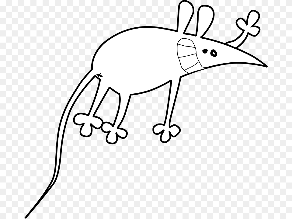 Rat Mouse Rodent Pest Mice Animal Vermin Cartoon Rats Transparent, Stencil, Wildlife, Bird, Mammal Png