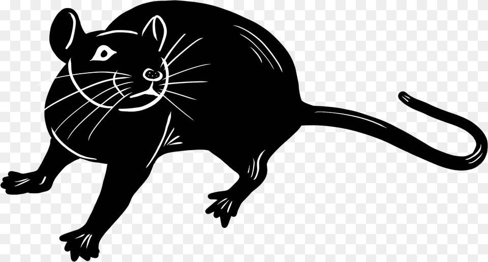 Rat Rat, Animal, Cat, Mammal, Pet Png Image