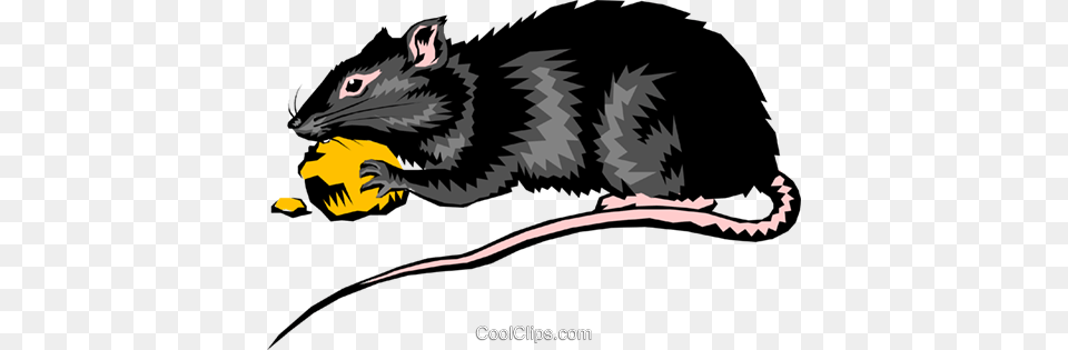 Rat Royalty Vector Clip Art Illustration, Animal, Mammal, Rodent, Kangaroo Png Image
