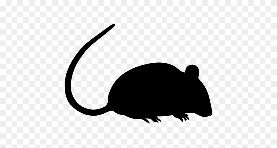 Rat Silhouette, Animal, Mammal, Rodent Free Png