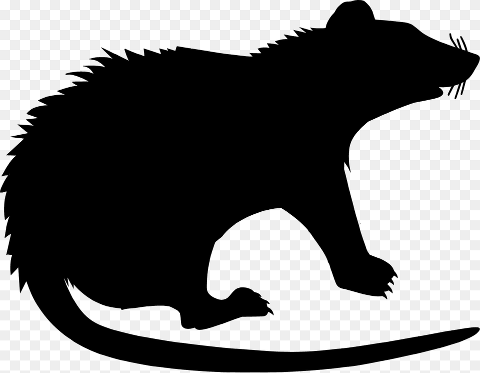 Rat Silhouette, Animal, Mammal, Fish, Sea Life Free Png Download