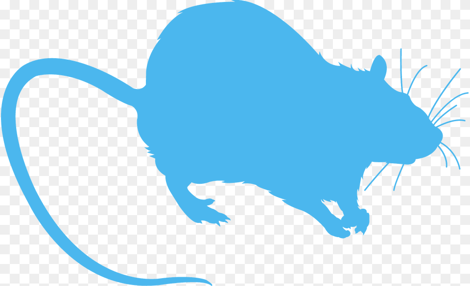 Rat Silhouette, Animal, Mammal, Rodent, Fish Png Image