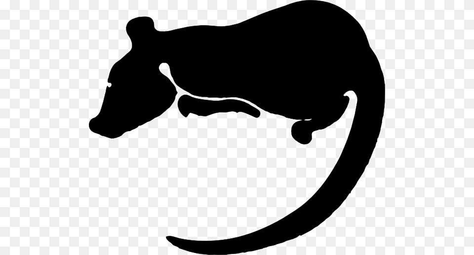 Rat Silhouette Clip Art Vector, Stencil, Animal, Fish, Mammal Free Png