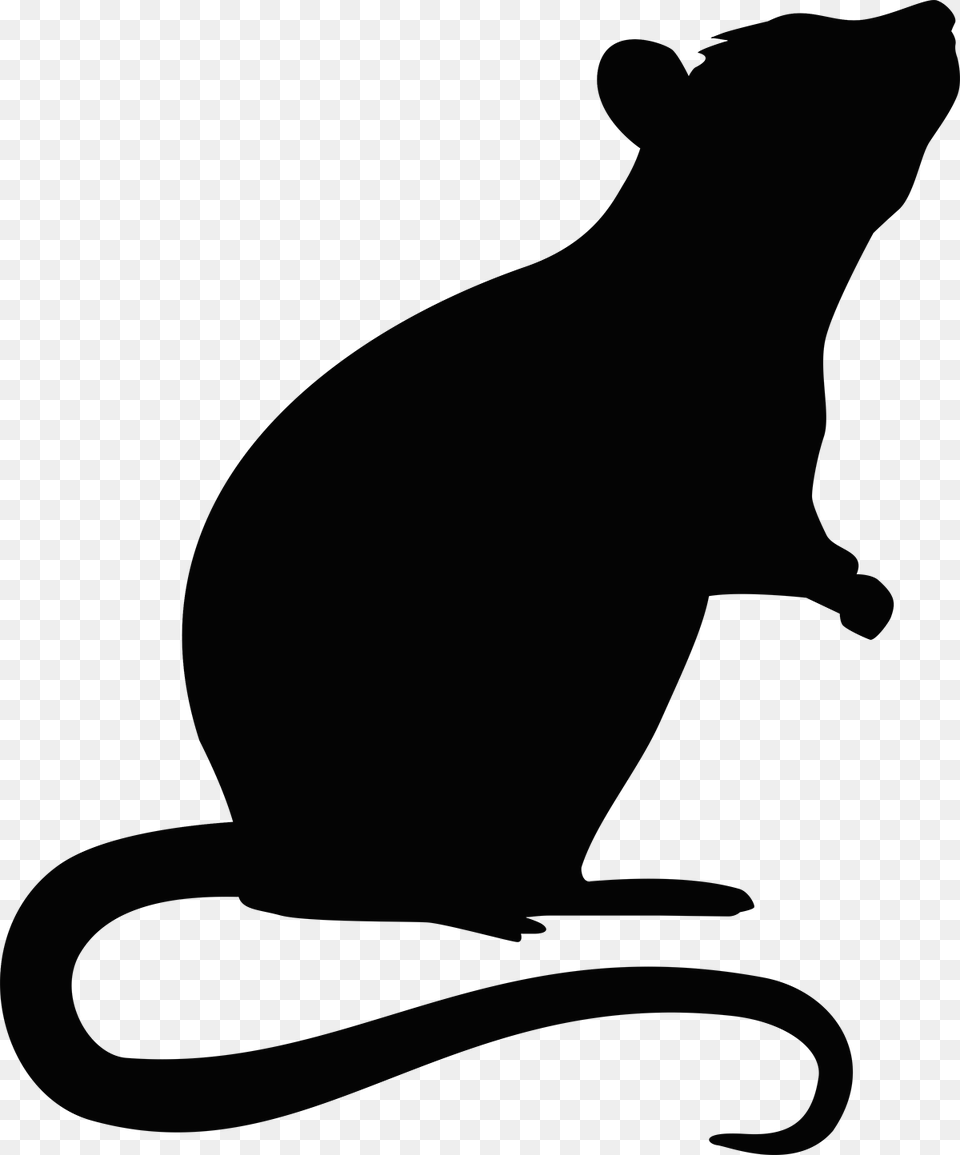 Rat Silhouette Standing Rat Silhouette, Lighting, Gray Png Image