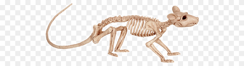 Rat Skeleton Figurine Crazy Bonez Rat, Animal, Dinosaur, Reptile Png