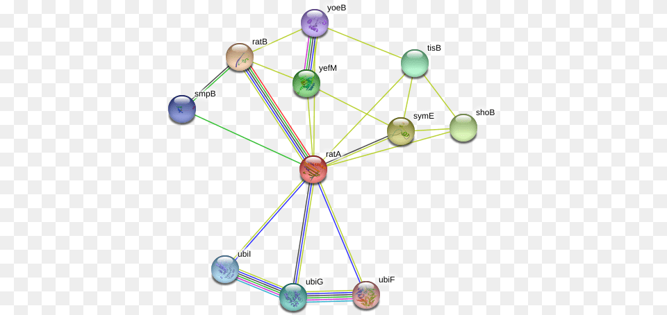 Rata Protein, Network, Chandelier, Lamp, Nature Png Image