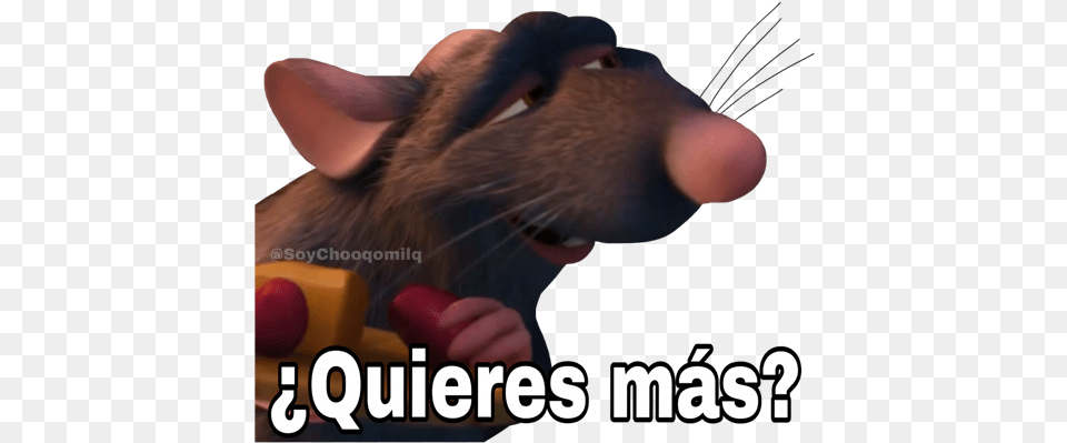 Ratatouille Dog Licks, Animal, Cat, Mammal, Pet Png