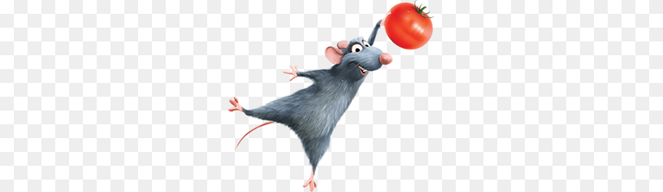 Ratatouille Ratatouille Disney Ratatouille Disney, Animal, Bird, Mammal, Rat Free Png Download