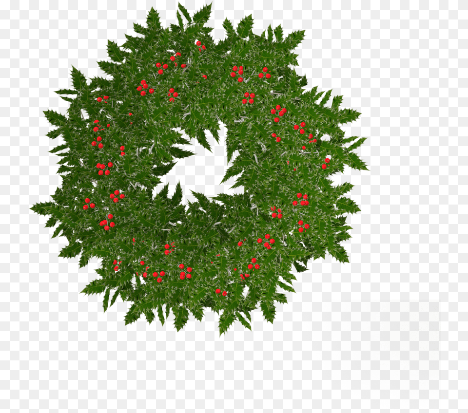 Rath Christmas, Plant, Wreath, Green, Leaf Free Png Download