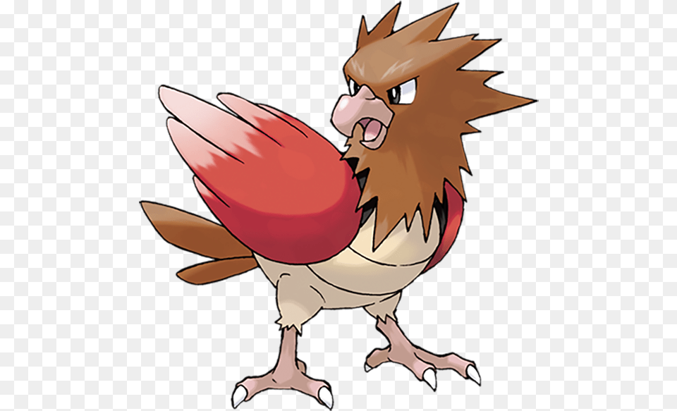 Raticate Pokemon Spearow, Baby, Person, Animal, Bird Free Png Download