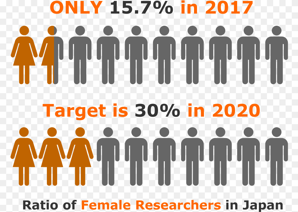 Ratio Of Female Researchers In Japan Many Genders Are There, Person, Adult, People, Man Free Png Download