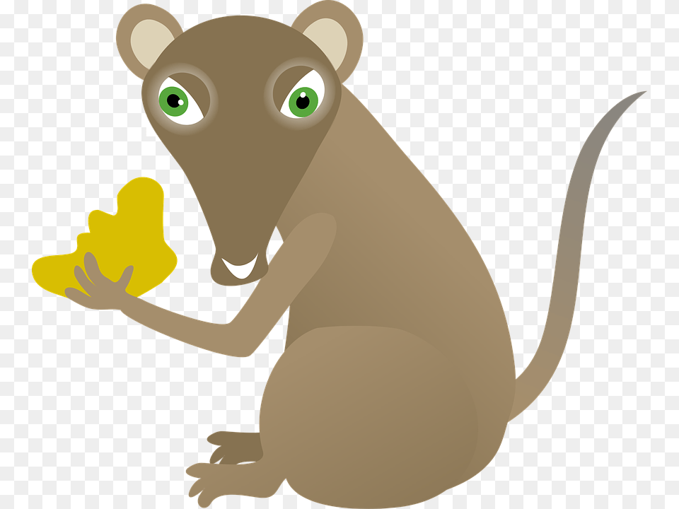 Raton Dibujo, Animal, Mammal, Nature, Outdoors Png Image