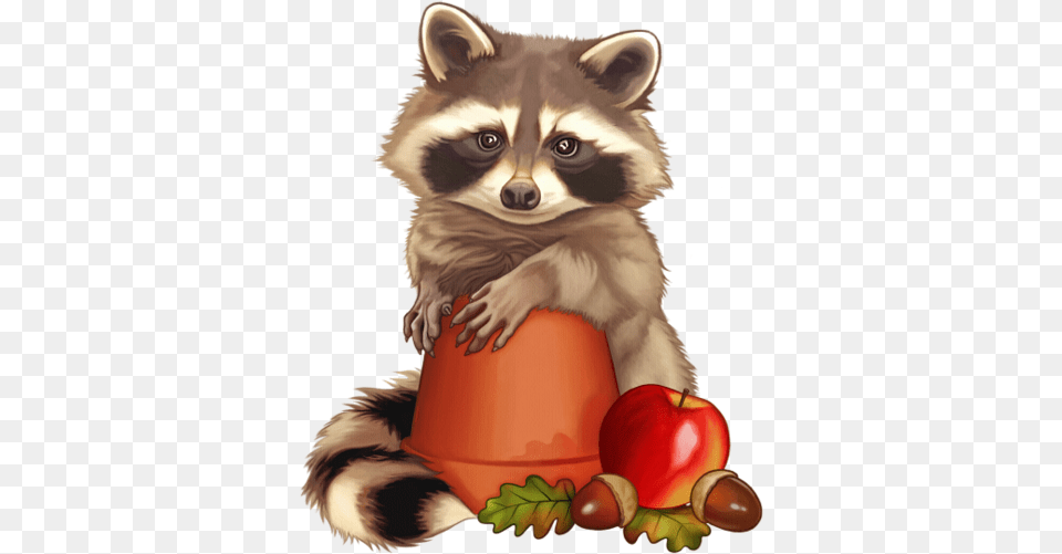 Raton Laveur Raton Laveur Clipart, Animal, Mammal, Raccoon, Bird Free Transparent Png