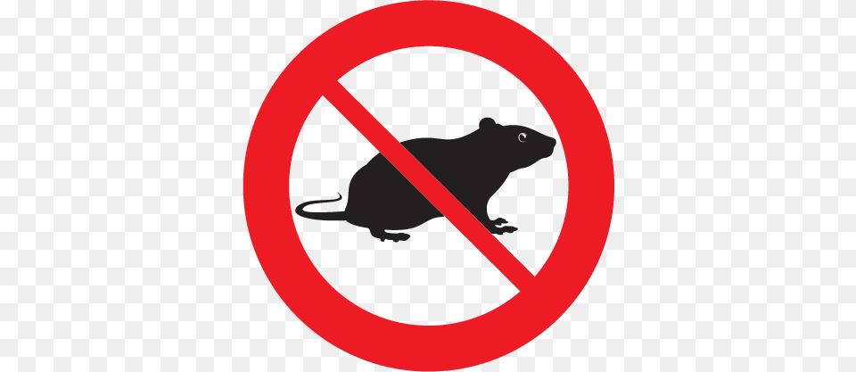 Rats And Mice Spread Disease Cause Foul Odours And Rats Pest Control, Sign, Symbol, Animal, Mammal Free Png