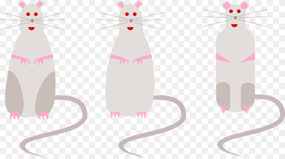 Rats Mice Rodents Mouse Rat Rodent Cartoon Gambar Grub Tikus Hitam, Animal, Mammal Free Transparent Png