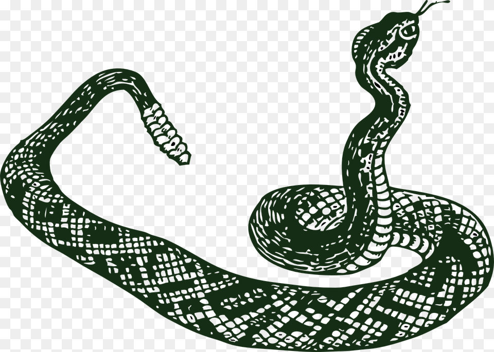 Rattle Snake Serpent Snake Tribal Rattler Danger Snake Clip Art, Animal, Reptile, Bird Free Transparent Png