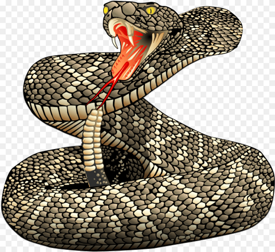 Rattle Snakes Rattlesnake Strike Tattoo, Animal, Reptile, Snake, Bird Free Png
