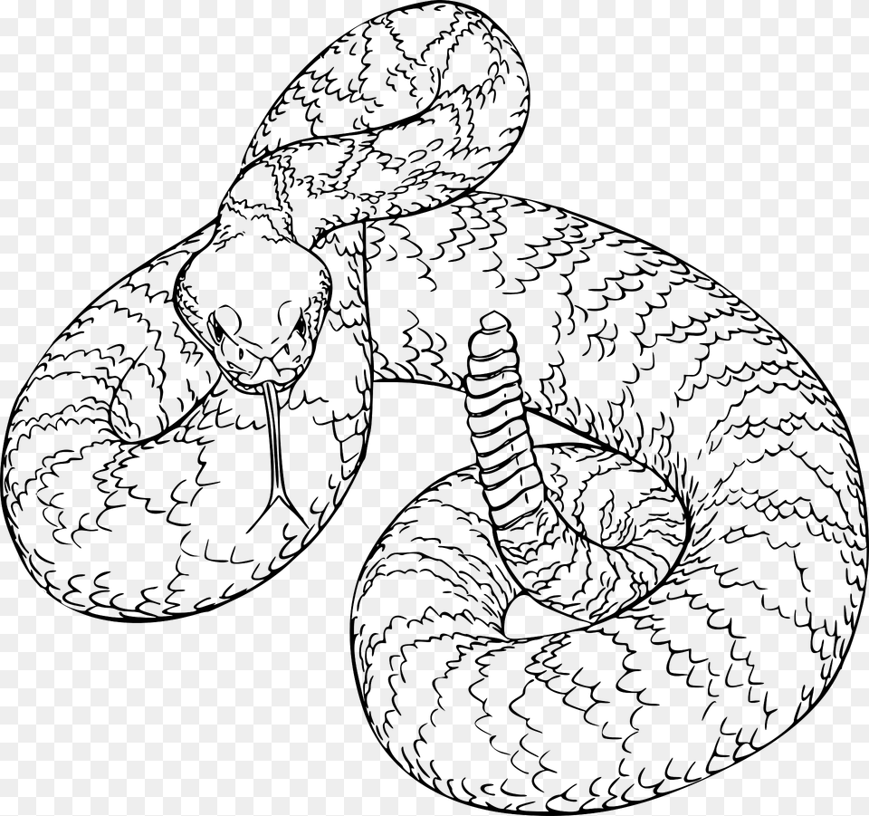 Rattlesnake Clipart, Animal, Reptile, Snake Png Image