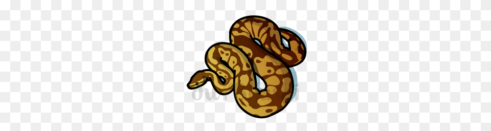 Rattlesnake Clipart Ajgar, Animal, Reptile, Rock Python, Snake Png