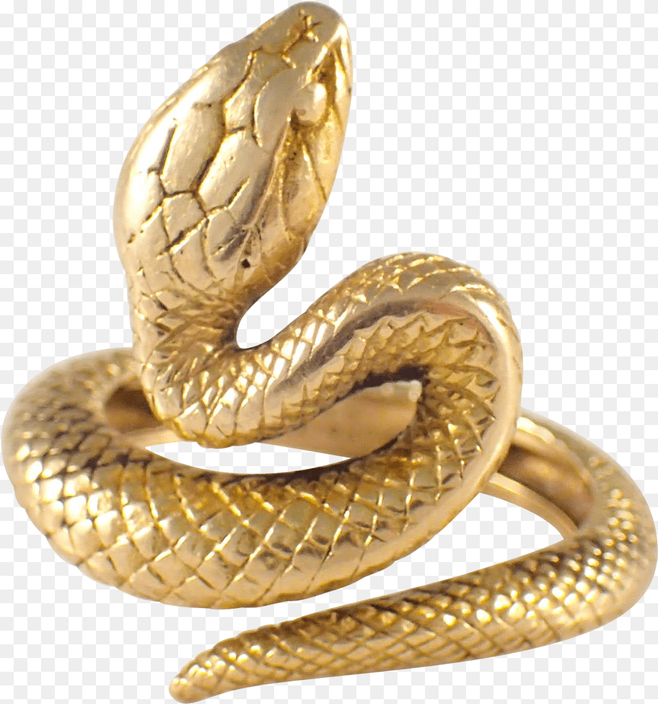 Rattlesnake Gold Reptile Vipers Gold Snake, Treasure, Animal, Accessories, Jewelry Free Png