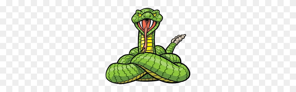 Rattlesnake Station, Animal, Reptile, Snake, Green Snake Png