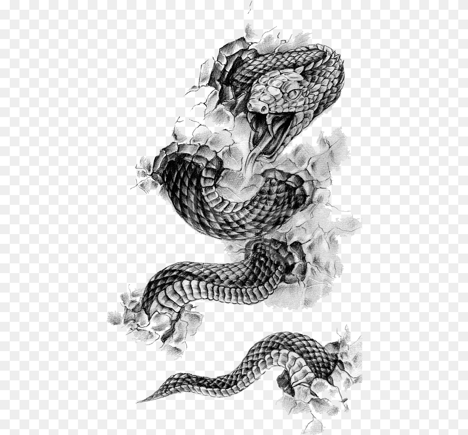 Rattlesnake Tattoo Flash Black And Gray Snake Tattoo Line Art, Drawing, Animal, Reptile Free Transparent Png