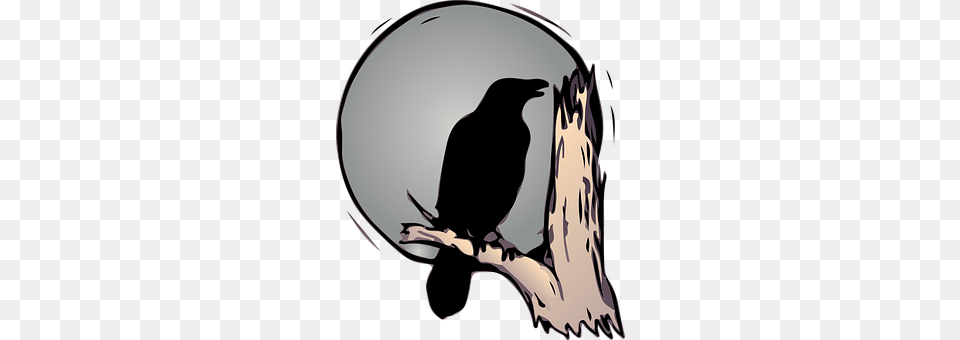 Raven Animal, Bird, Blackbird Free Png
