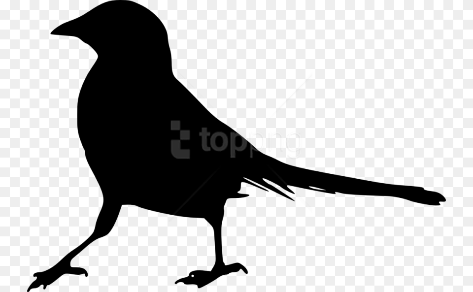 Raven, Animal, Bird, Blackbird, Silhouette Free Png