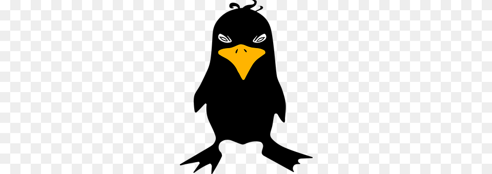 Raven Logo Png Image