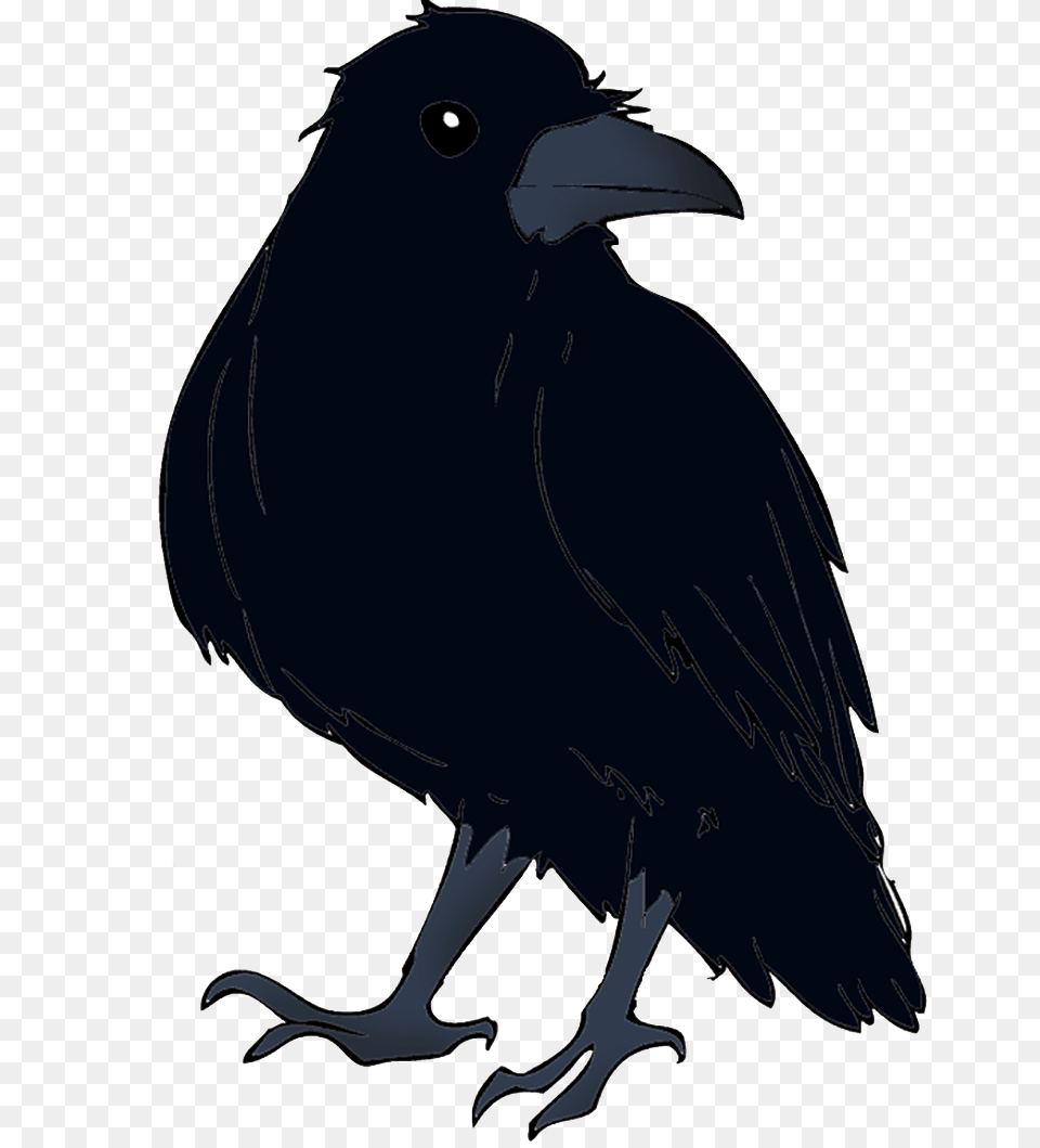 Raven, Animal, Bird, Blackbird, Person Png Image