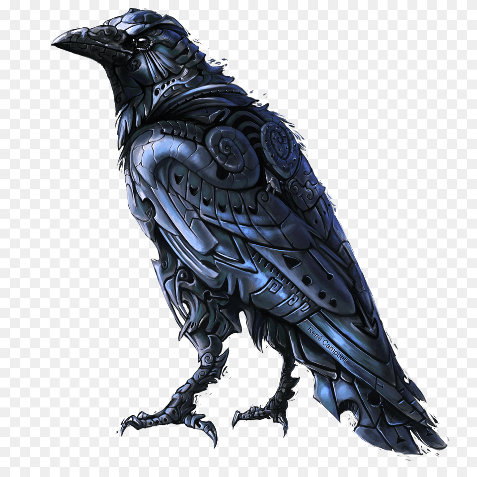 Raven, Animal, Bird, Crow, Person Free Png Download