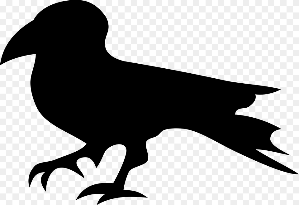 Raven, Gray Free Transparent Png