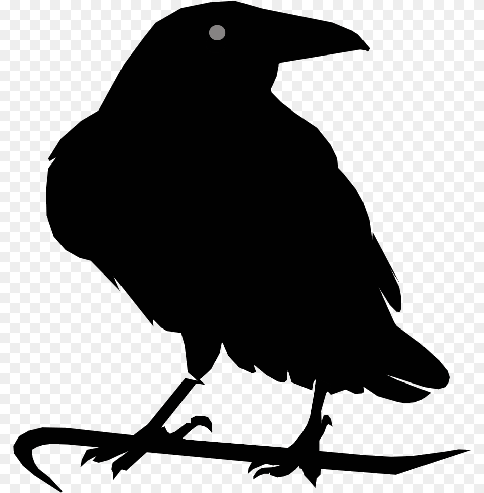 Raven, Animal, Bird, Crow Free Png