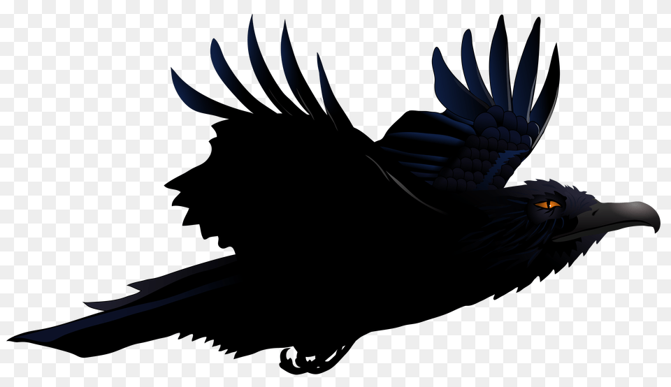 Raven, Animal, Bird, Blackbird, Crow Free Png