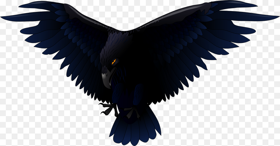 Raven, Animal, Bird Free Png Download