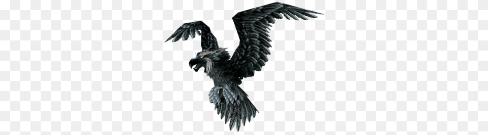 Raven, Animal, Bird, Vulture, Blackbird Free Transparent Png