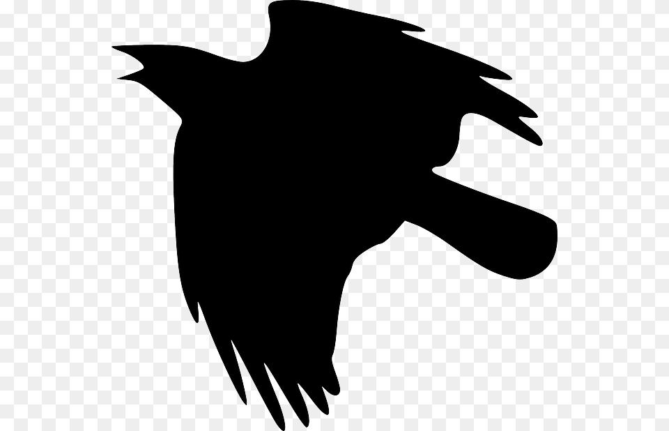 Raven, Silhouette, Animal, Bird, Blackbird Free Png Download