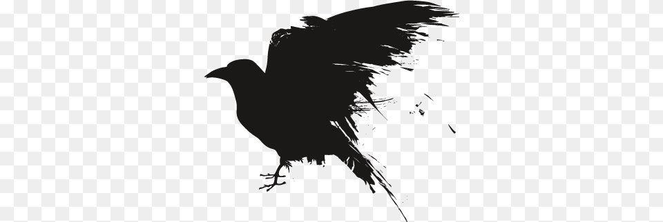 Raven, Person, Animal, Bird, Crow Free Png Download