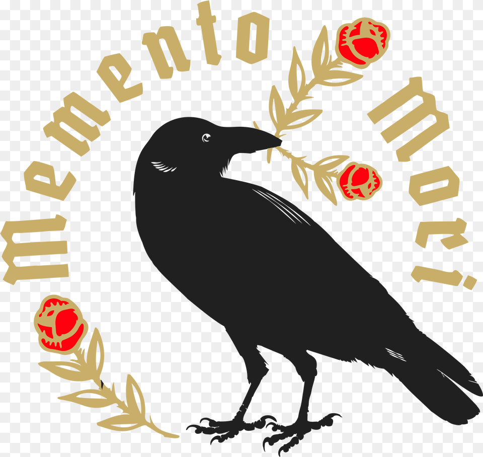 Raven, Animal, Bird, Blackbird, Beak Png