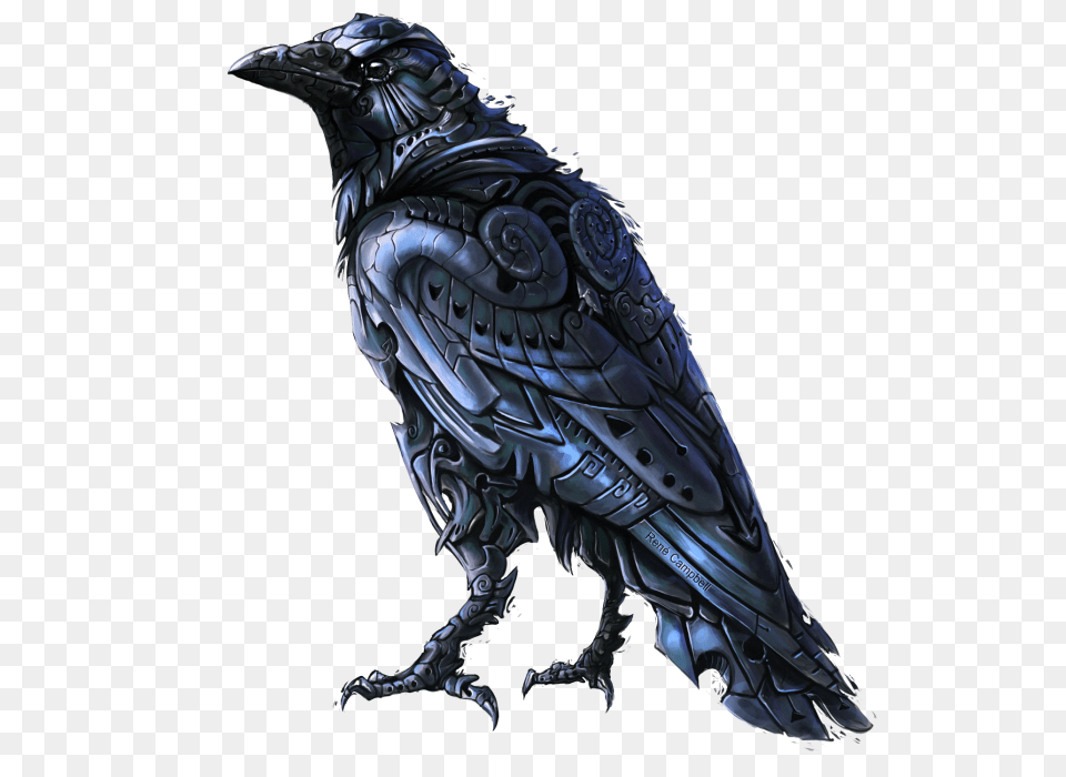 Raven, Animal, Dinosaur, Reptile, Bird Png