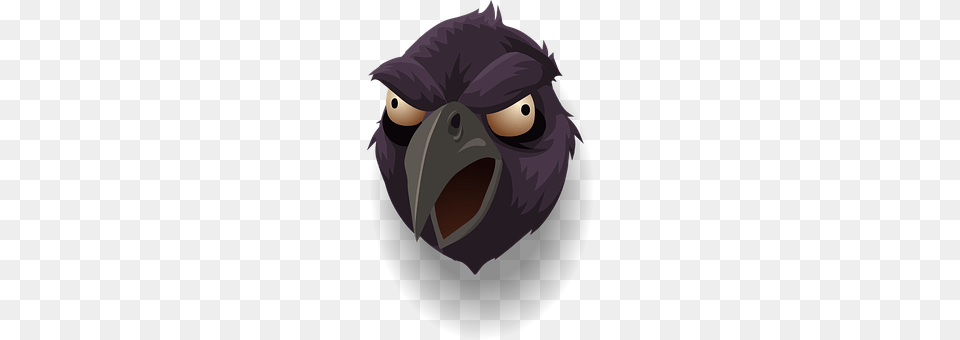 Raven Animal, Beak, Bird Free Png Download