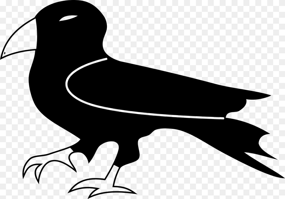 Raven Bird Nature Picture Clipart Black And White, Gray Free Png Download