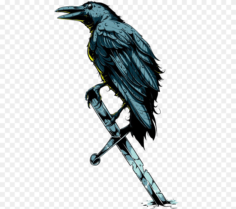 Raven Blue Transparent, Animal, Beak, Bird, Adult Png
