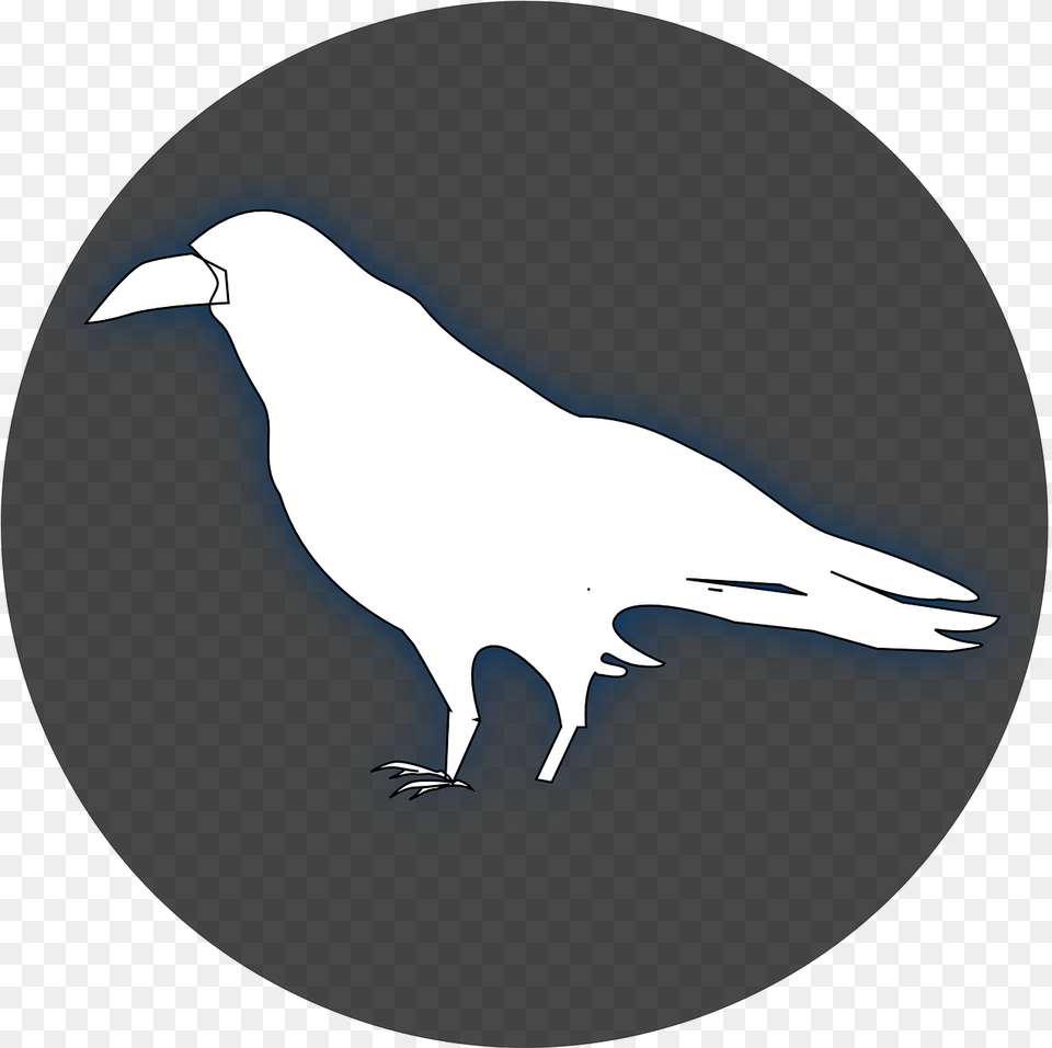 Raven Clip Art White, Animal, Beak, Bird, Silhouette Free Png Download