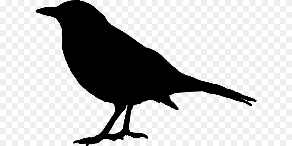 Raven Clipart, Gray Free Png Download