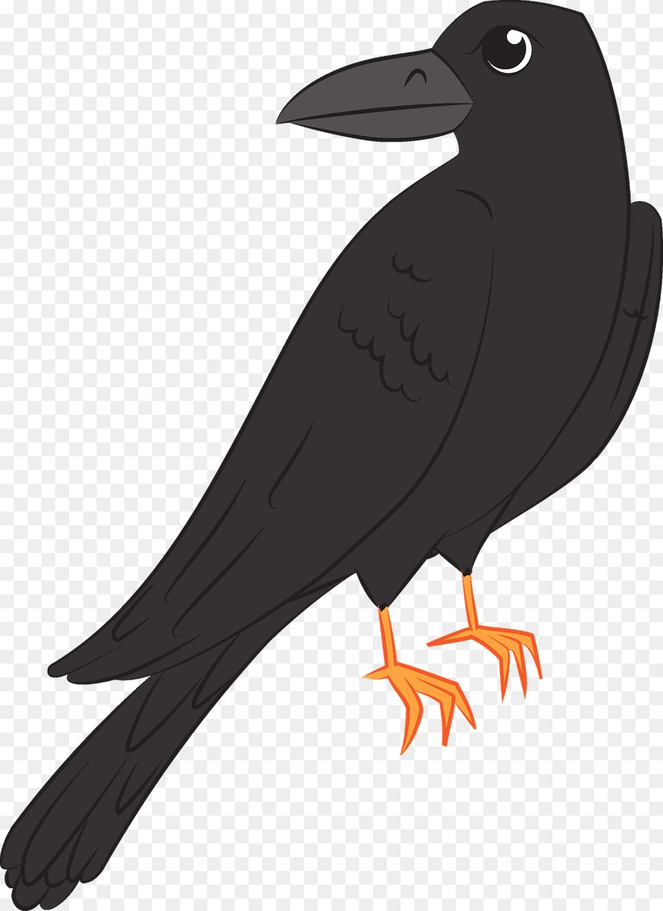 Raven Clipart, Animal, Bird, Blackbird, Fish Png